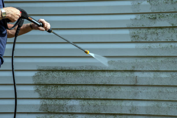 Best Gutter Cleaning  in Meridian, MS